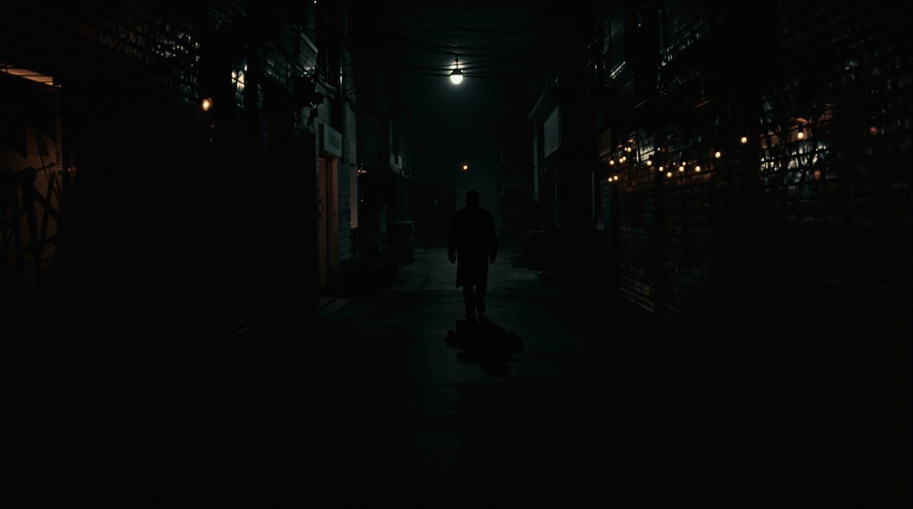 枫叶影视最新上线 - 暗夜追踪
